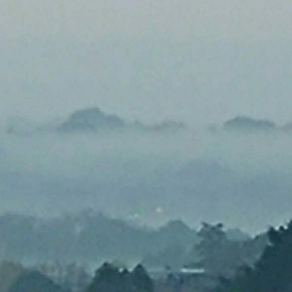 Meet your Posher, Karen - Picture 1 of 1